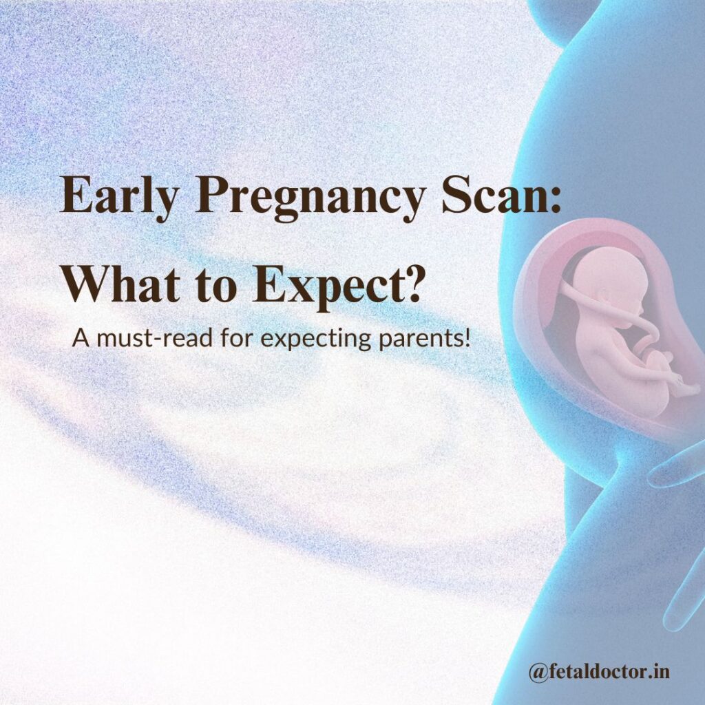 Early Pregnancy Scan What to Expect
