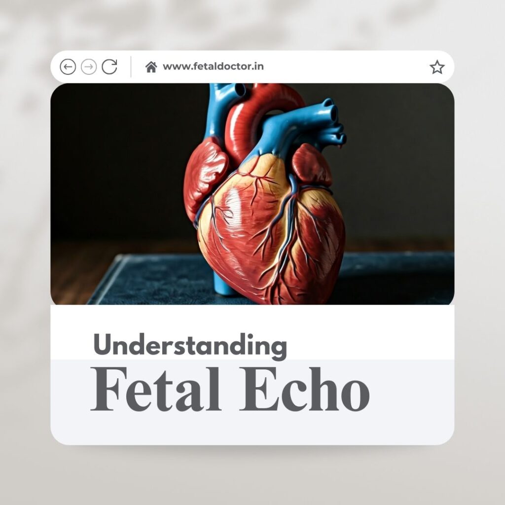 Understanding Fetal echo